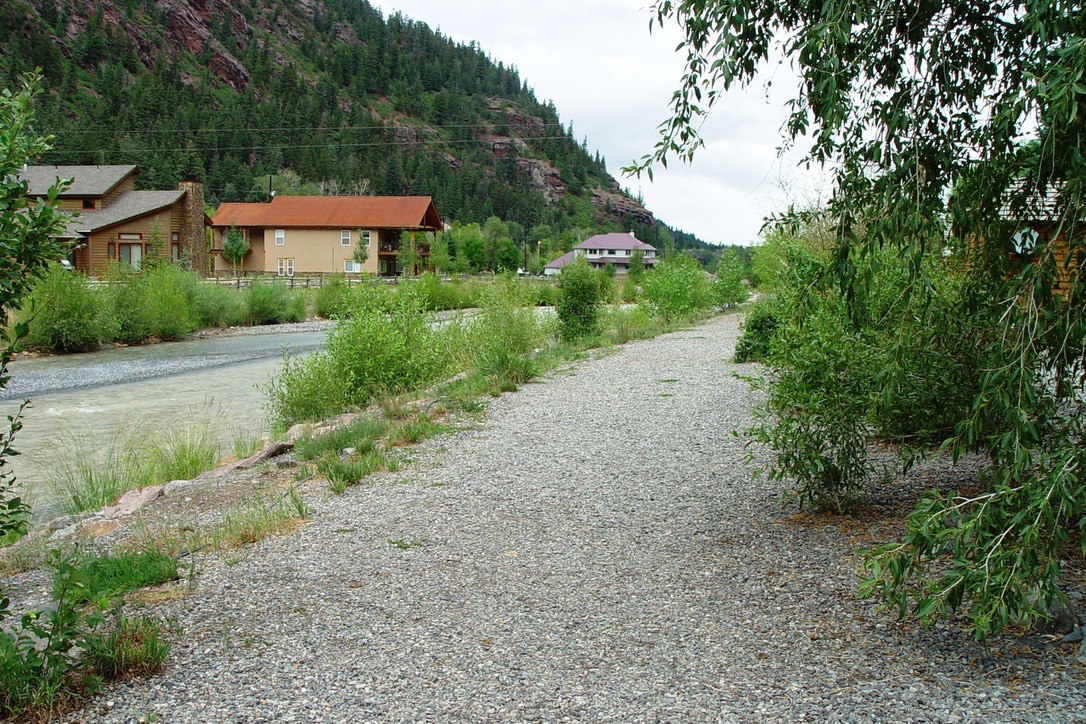 The trail near the cabin