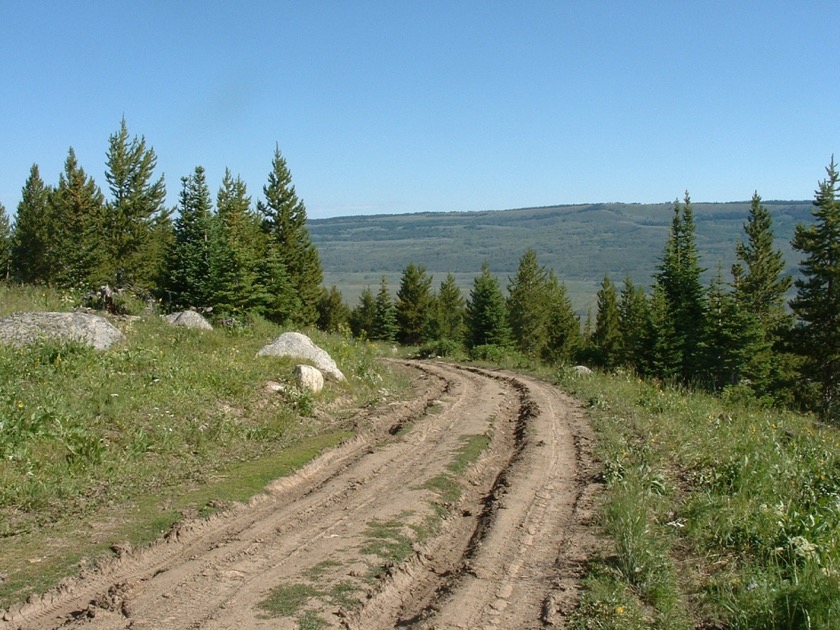 Moose Gypsum Road