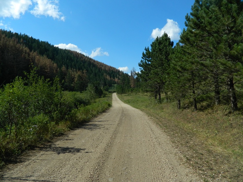 Silver Creek Road