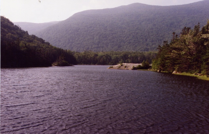 Beaver Pond