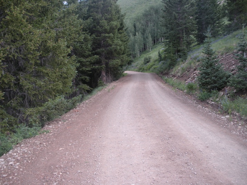 Johnson Creek Road