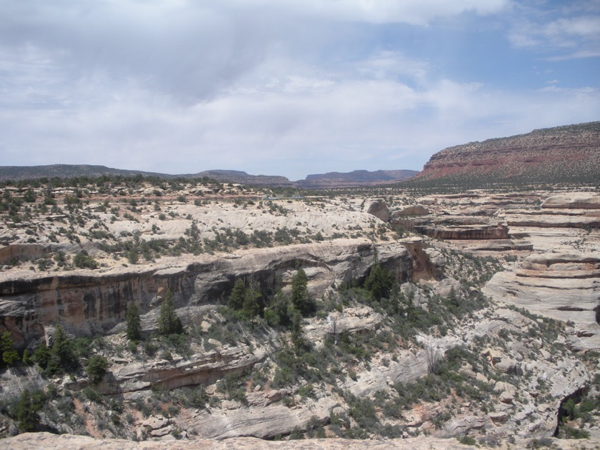 Natural Bridges