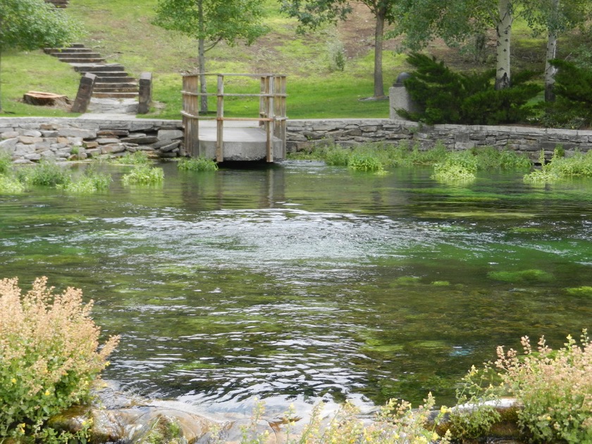 Giant Springs