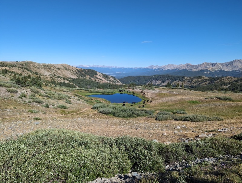 Cottonwood Pass