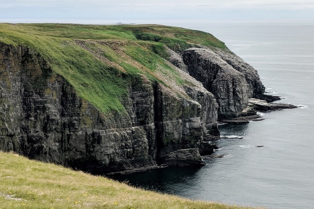 Cape St Mary's