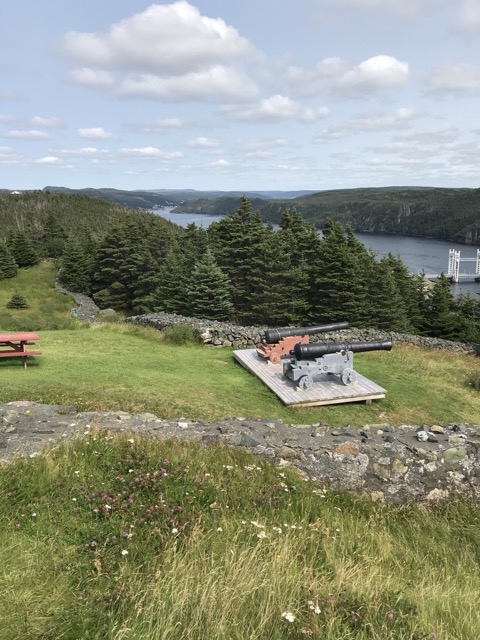 Placentia from Castle Hill