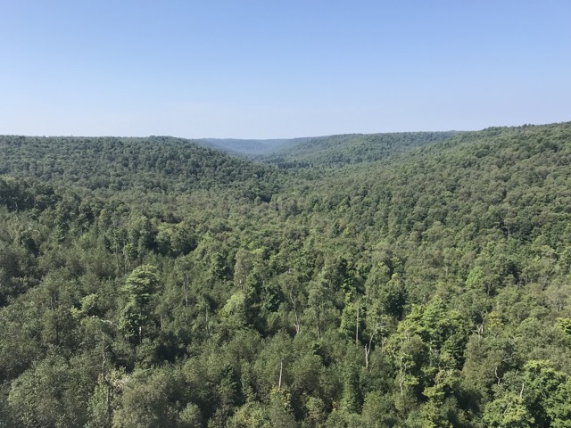 Kinzua State Park