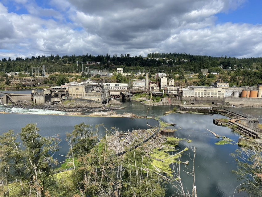 Willamette Falls