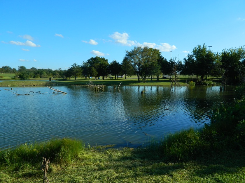 Lake in Overbrook