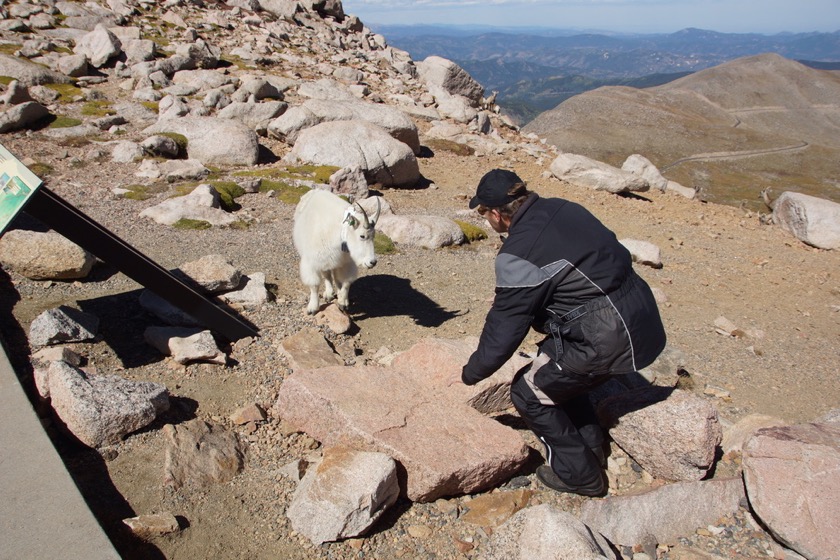 Mt. Evans