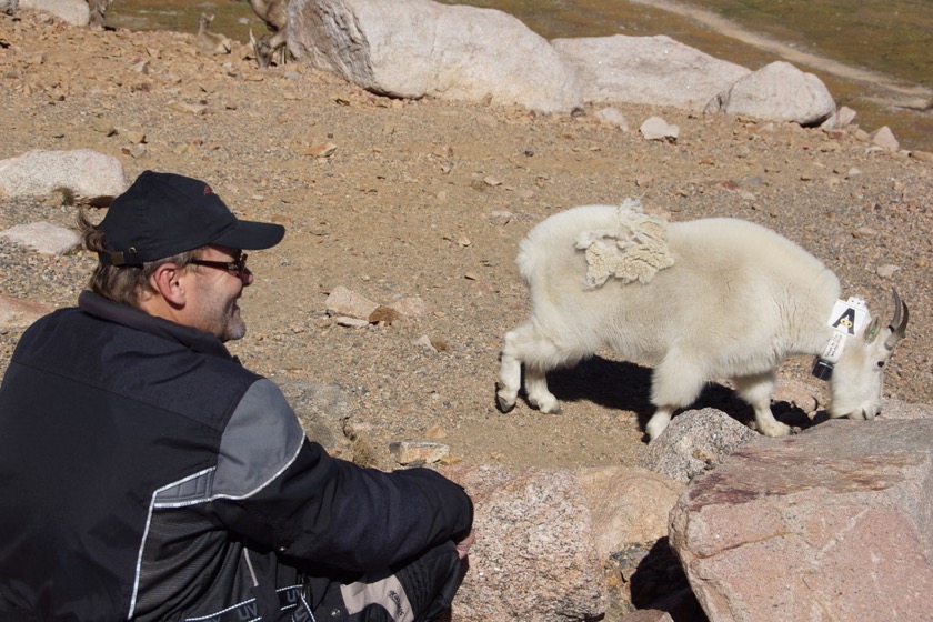 Mt. Evans