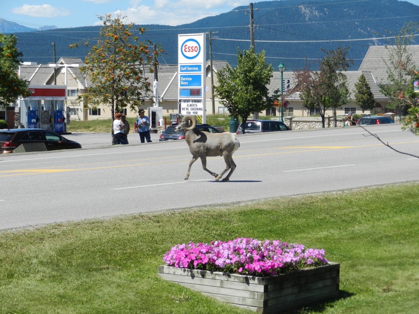 Radium Hot Springs