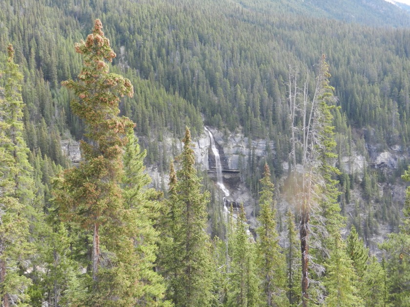 Bridel Veil Falls - Icefields Parkway