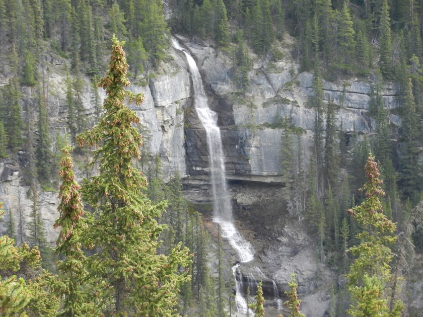 Bridel Veil Falls - Icefields Parkway