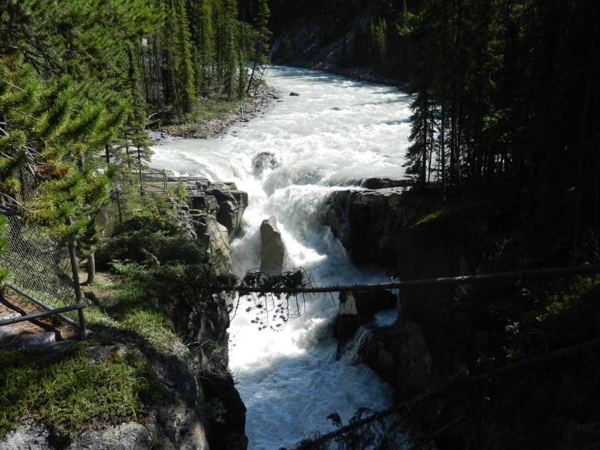 Sunwapta Falls