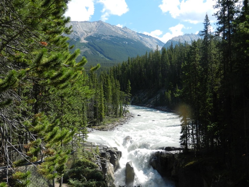 Sunwapta Falls