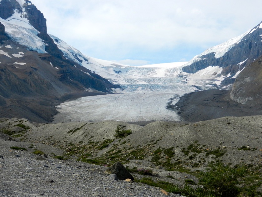 Athabasca Glacier