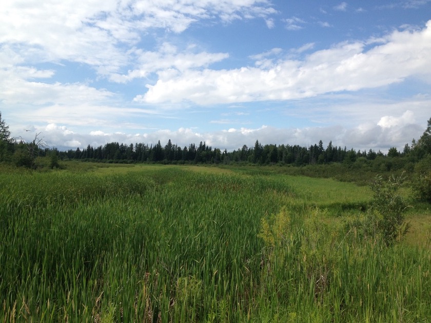 Headwaters of the Mississippi