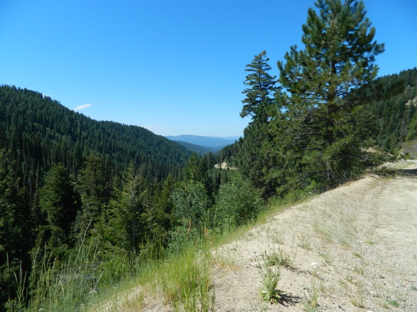 Ponderosa Pines ScenicByway