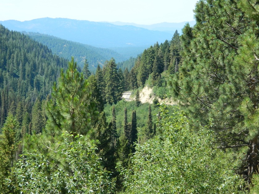 Ponderosa Pines ScenicByway