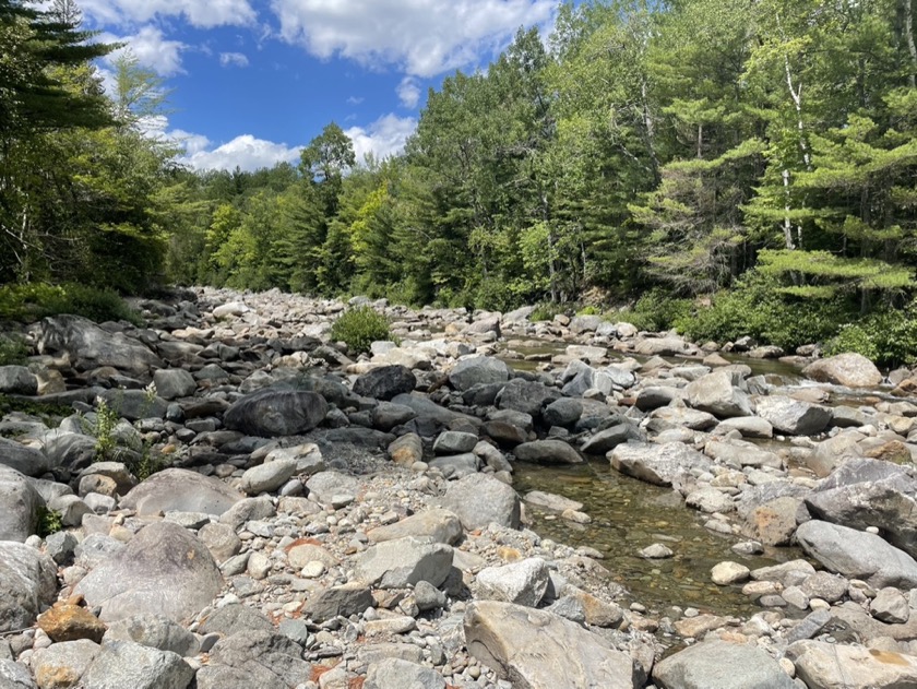 Carrabassett River