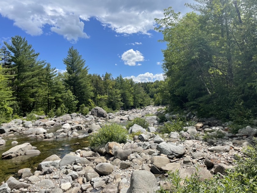 Carrabassett River