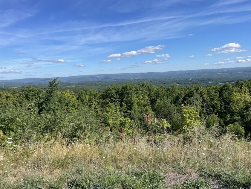 Five State Lookout