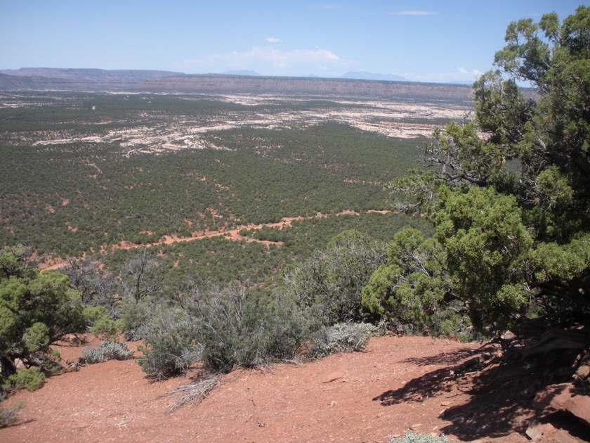 Elk Mt. Road