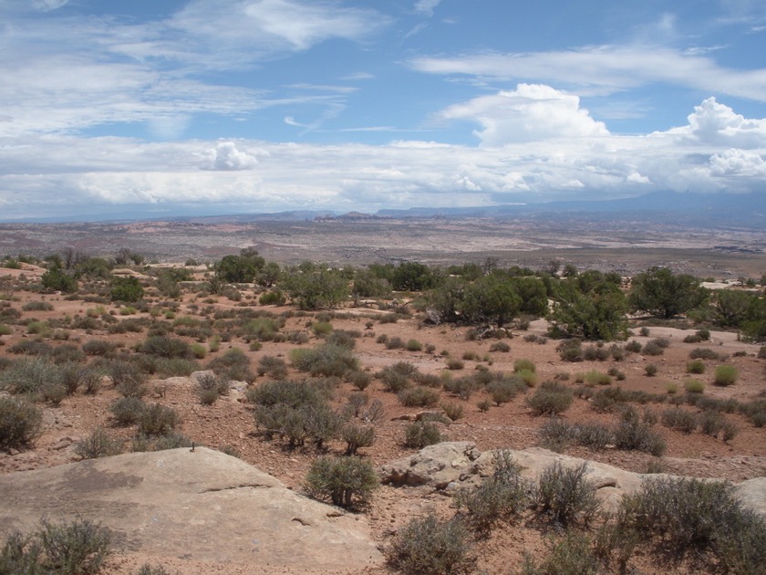 Top of the Mesa