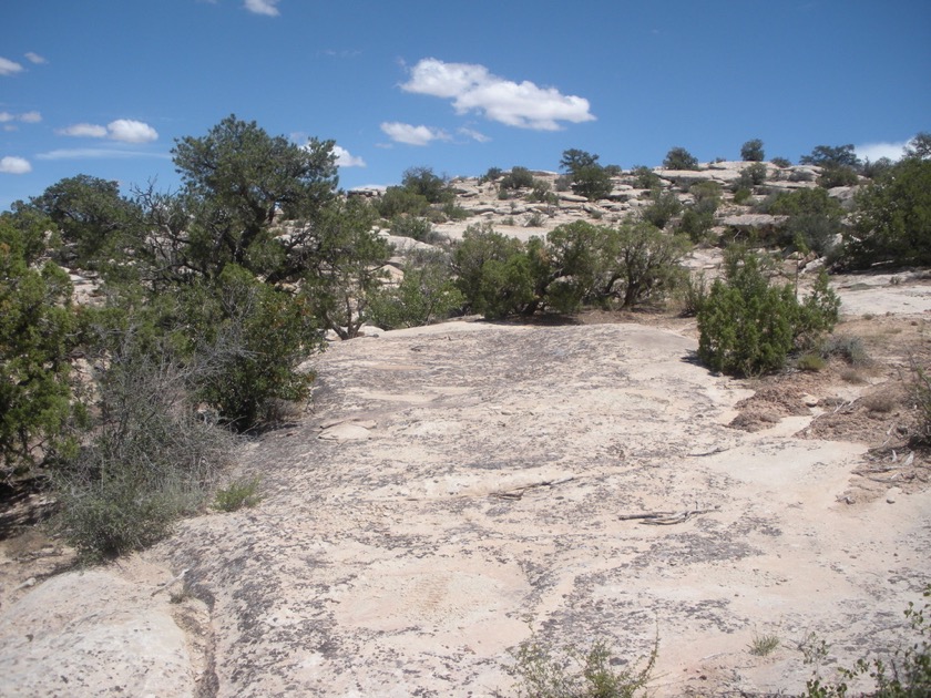 Going up Sevenmile Trail