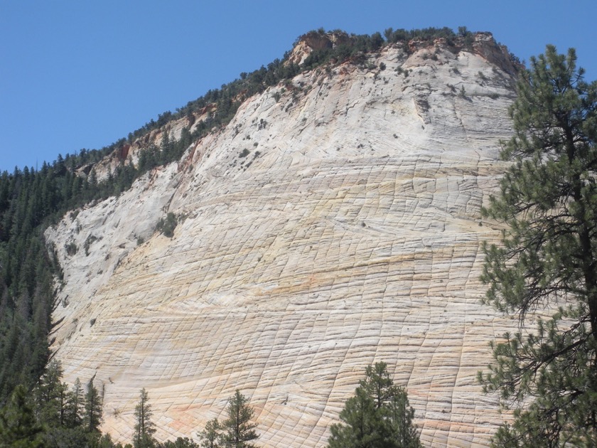 Checkerboard Mesa - Zion Park