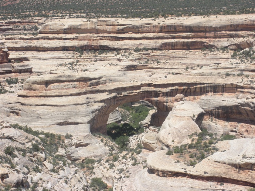 Natural Bridges