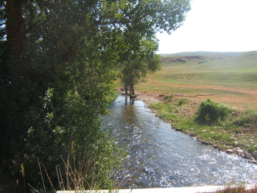 Stream on Soup Creek Rd