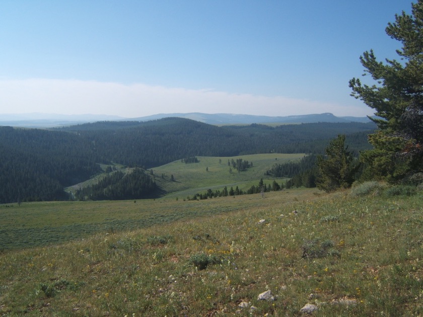 Fool Creek Ridge