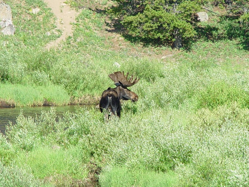 Fool Creek Ridge