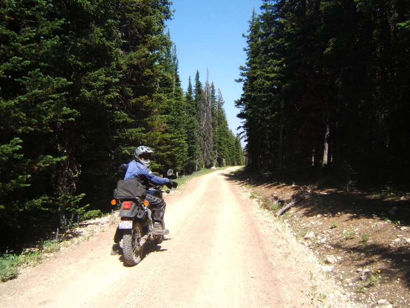 Near Porcupine Falls