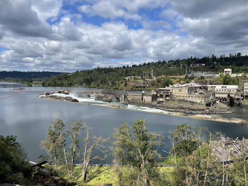 Willamette Falls