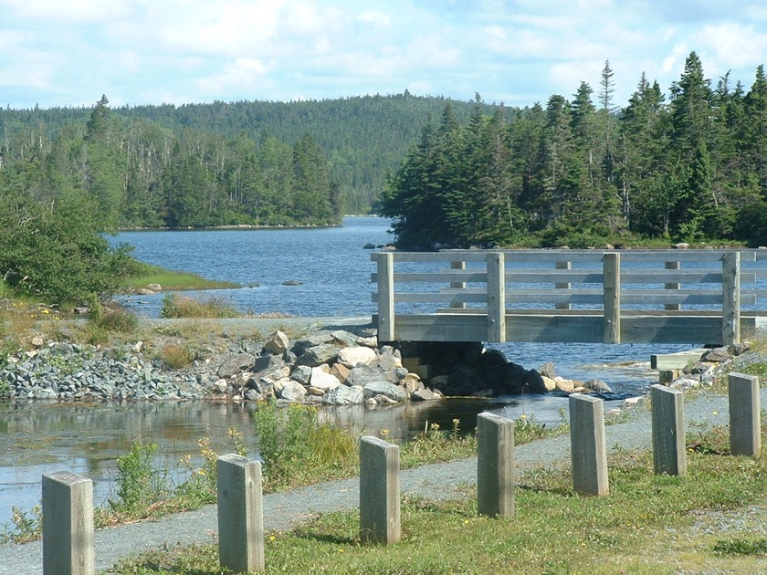 Jeddore at Oyster Ponds Park