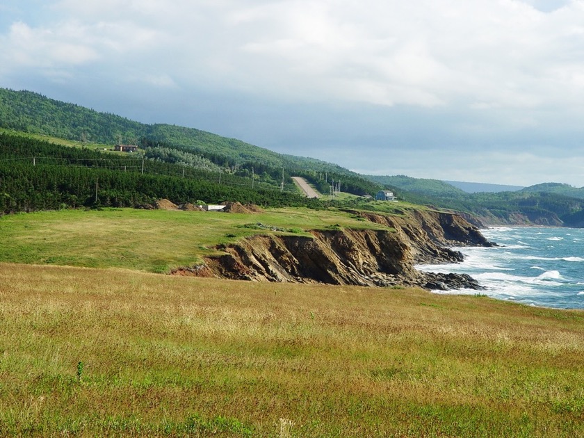 Whale's Cove