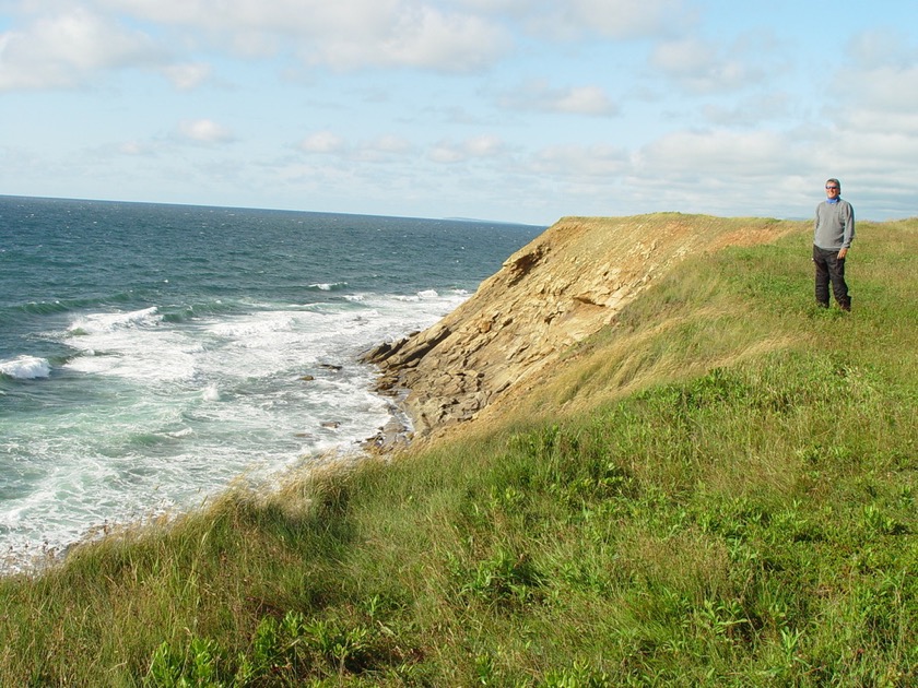 Whale's Cove