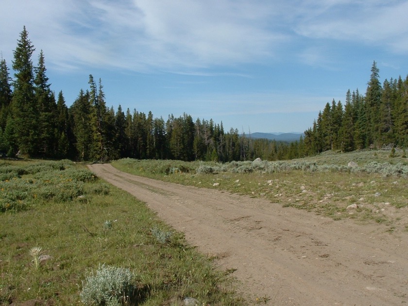 Moose Gypsum Road