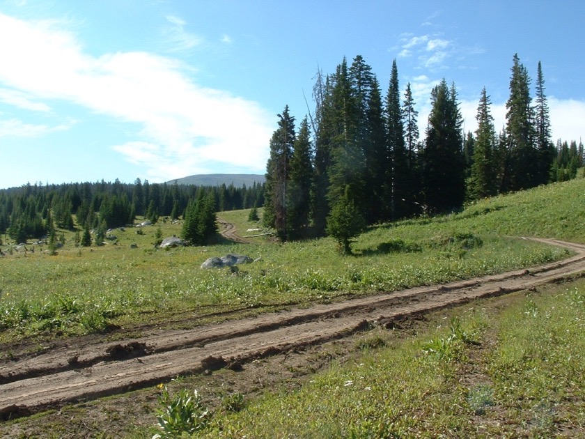 Moose Gypsum Road