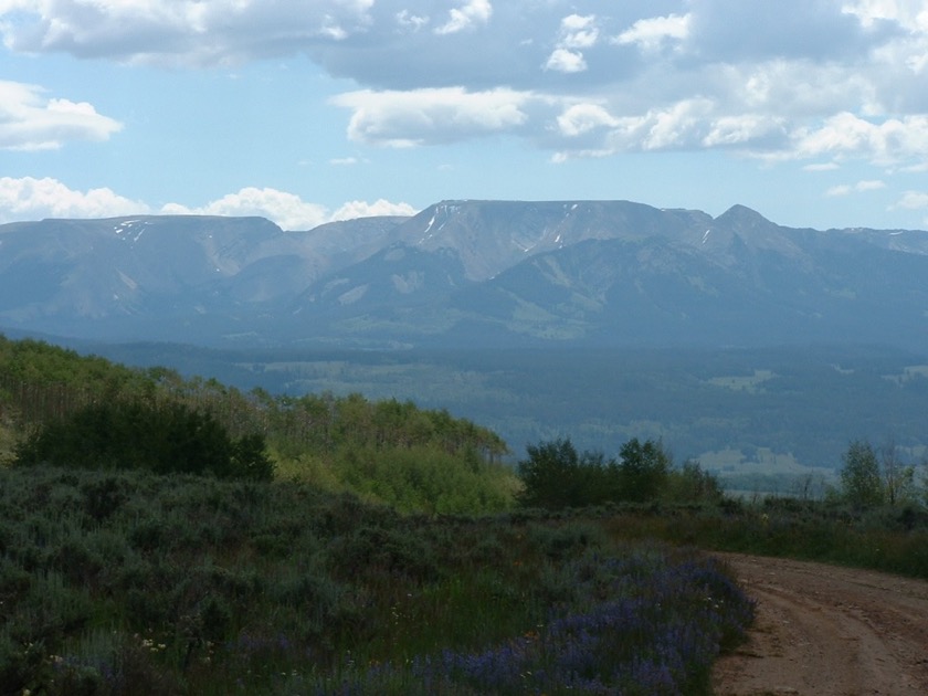 Union Pass Road