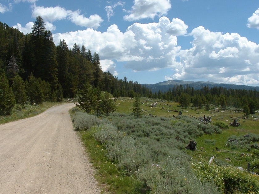 Union Pass Road