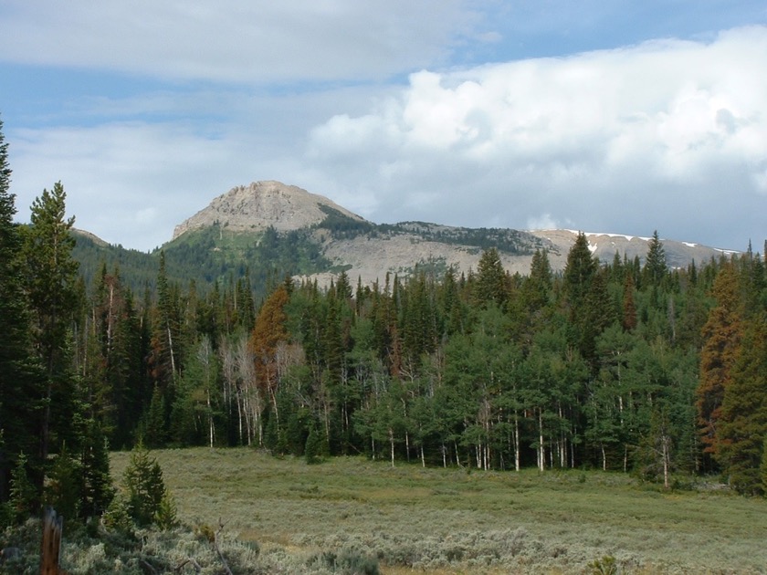 Cottonwood-Ryegrass Rd