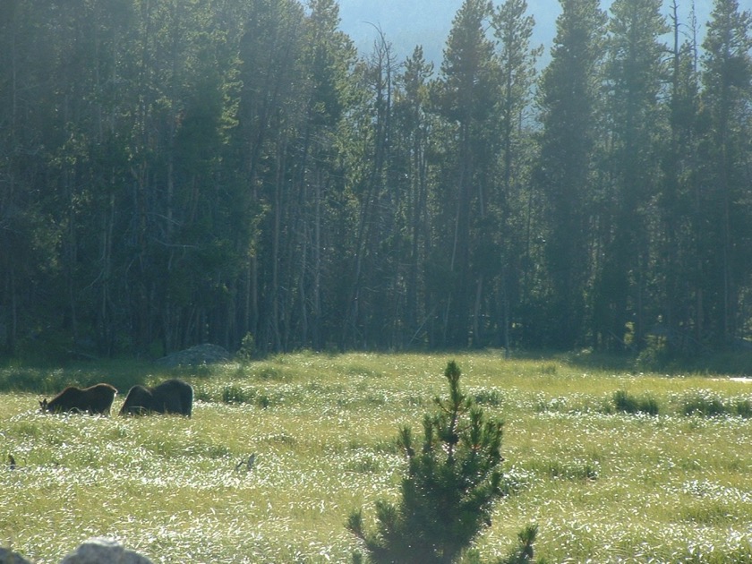 Frey Lake