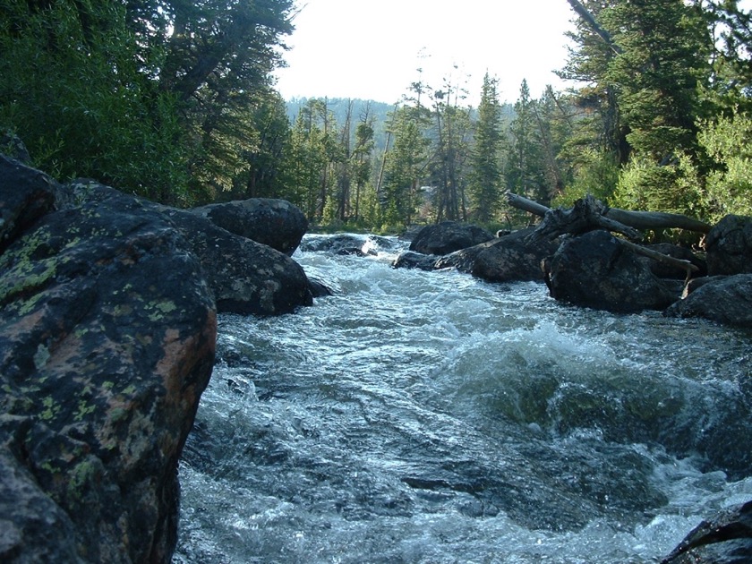 Creek near Louis Lake