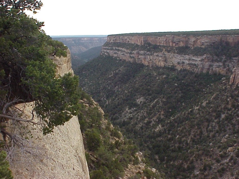 Mesa Verde