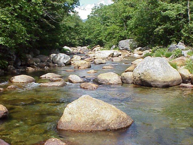 Saco River