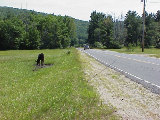 ME17 near Mooselookmeguntic Lake